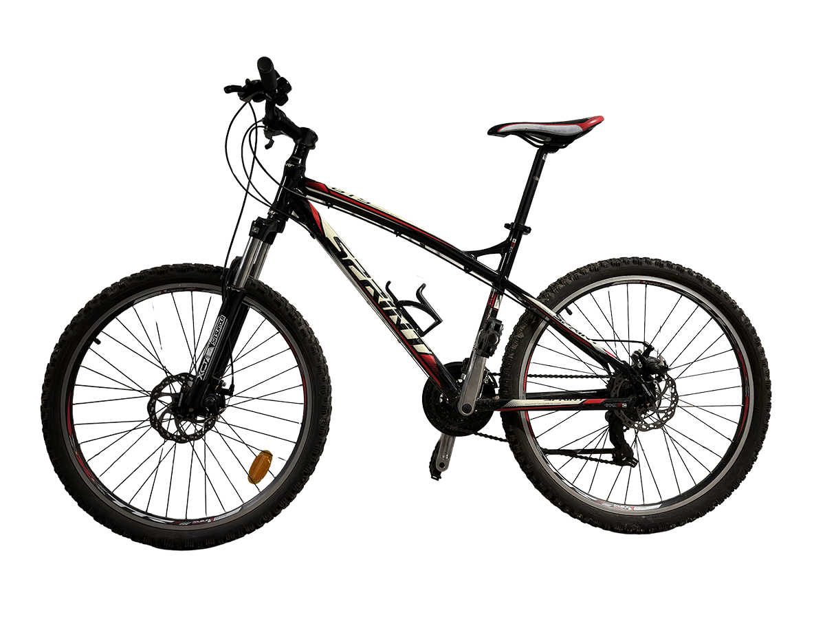 Easy Rider bike