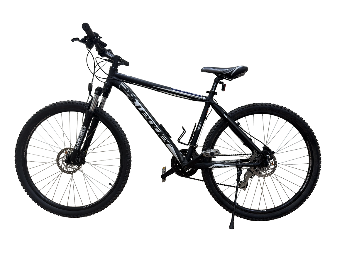 City Rebel bike